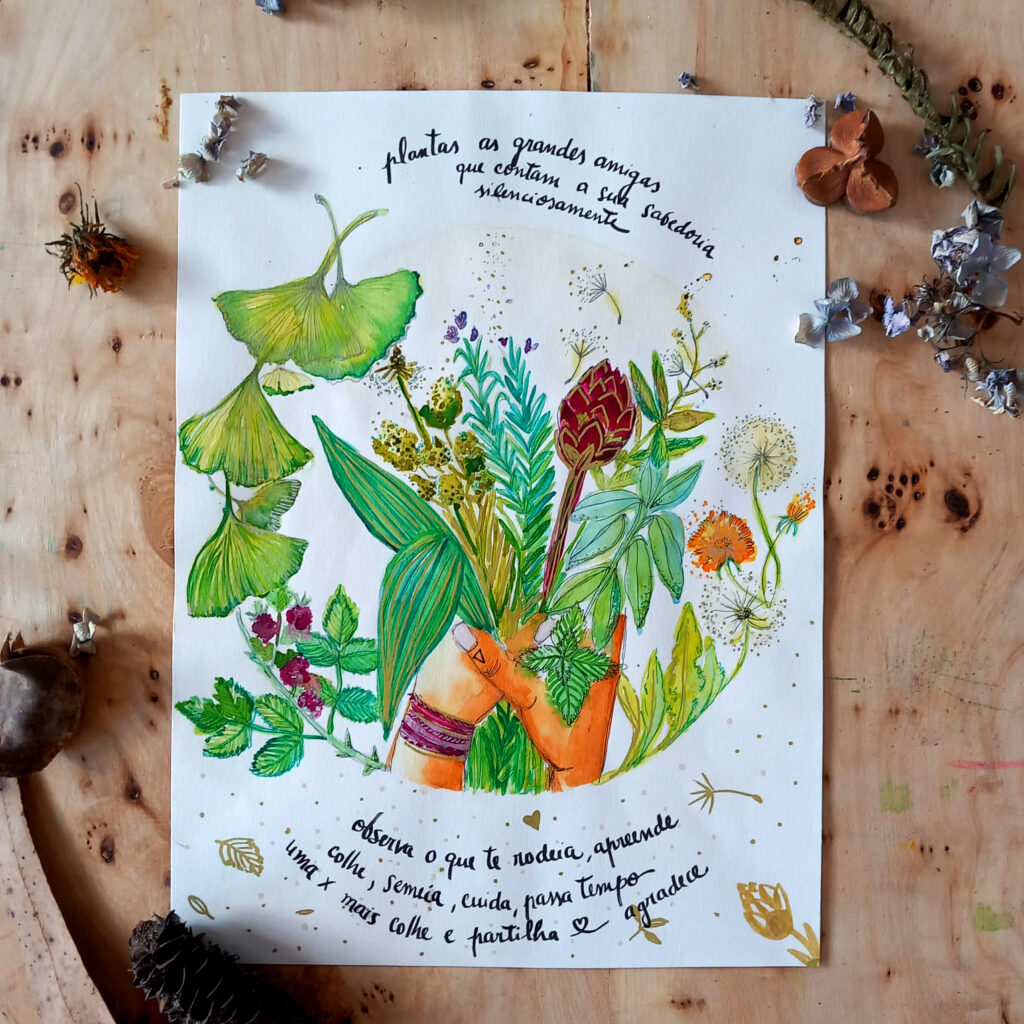 Plantas as grandes amigas ...